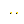 Amber Gold